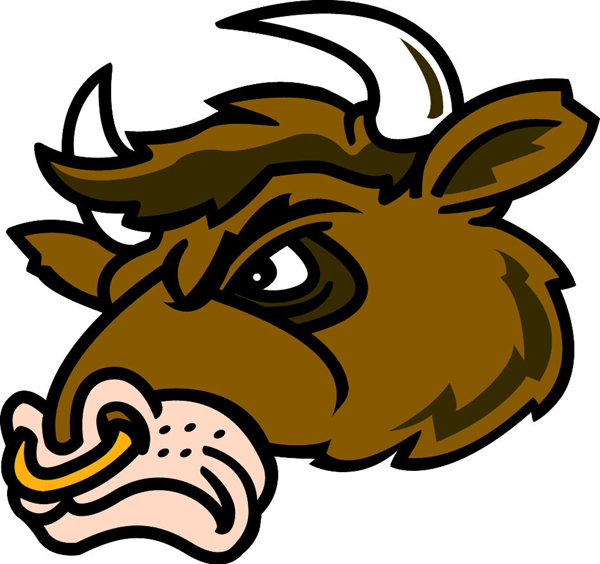 Bull team mascot color vinyl sports sticker. Customize on line. Bull 1 Head